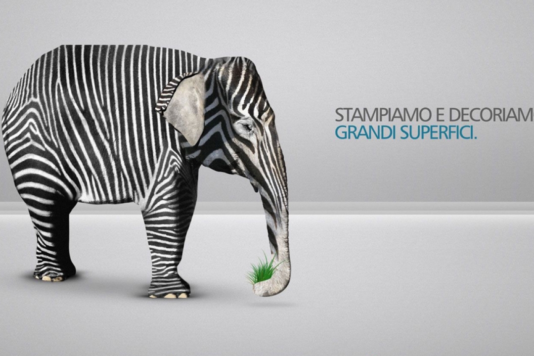 Campagna pubblicitaria creativa Grafitex con elefante decorato da zebra