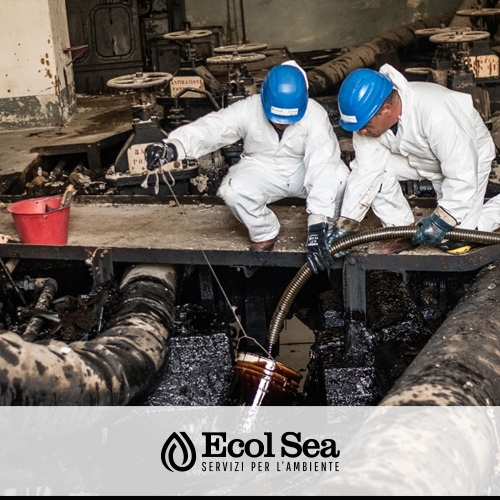 Ecolsea: Ecol Sea: al fianco delle aziende per mare e per terra