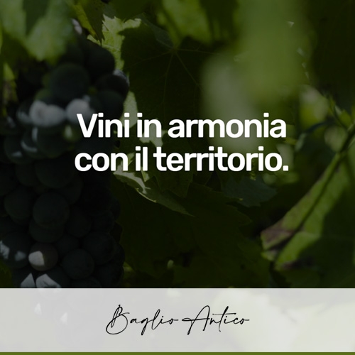 Baglio Antico: Baglio Antico: tradizione siciliana in bottiglia.